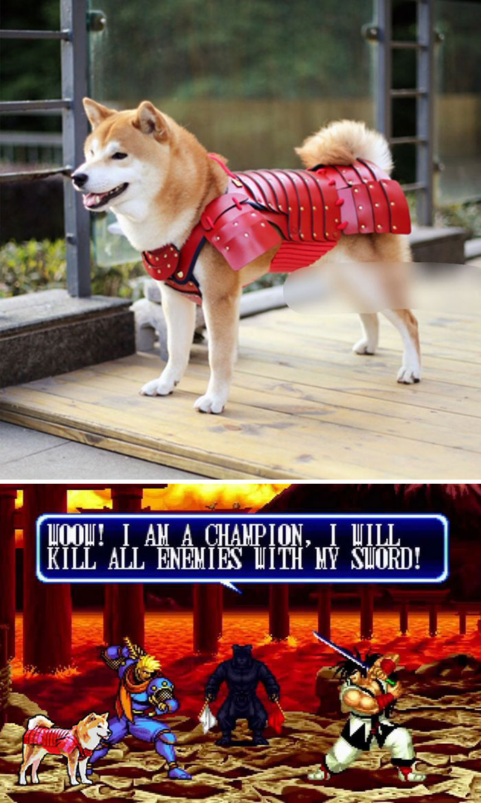 glitch in the matrix shiba inu samurai armour - alu I Cou! I Am A Champion. I Ull Kill All Enemies With My Suord!