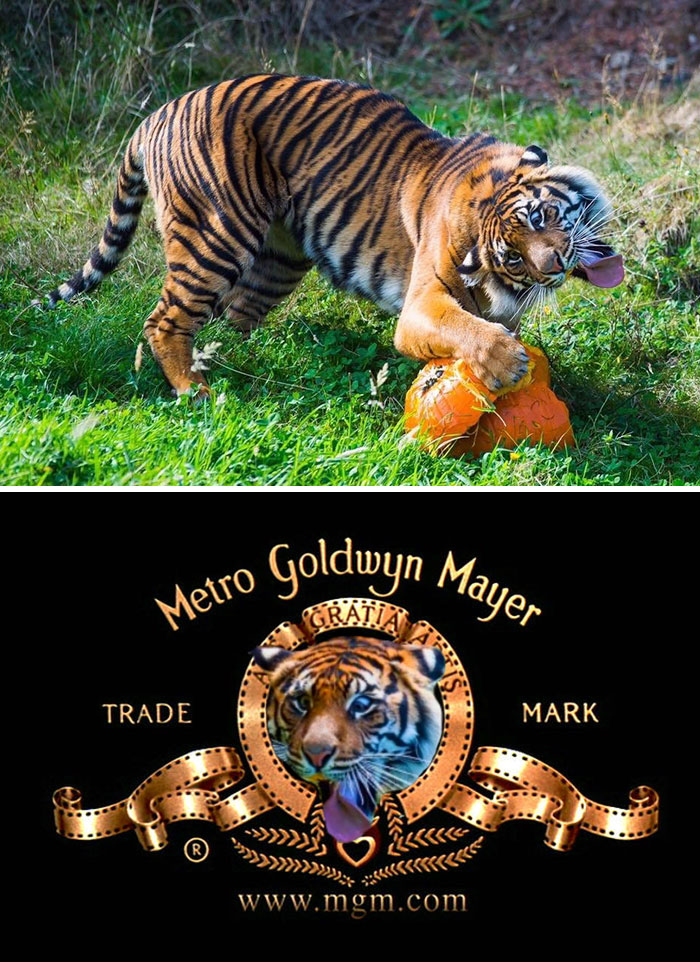 glitch in the matrix metro goldwyn mayer 1930 gif - vun Mayer Metro Goldwyn Trade Mark K