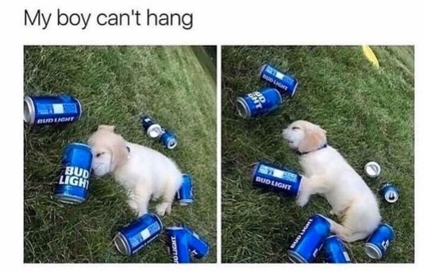 Meme of a dog passed out around beer cans and how he can't hang.