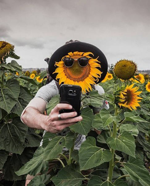 Man posing as a sunflower