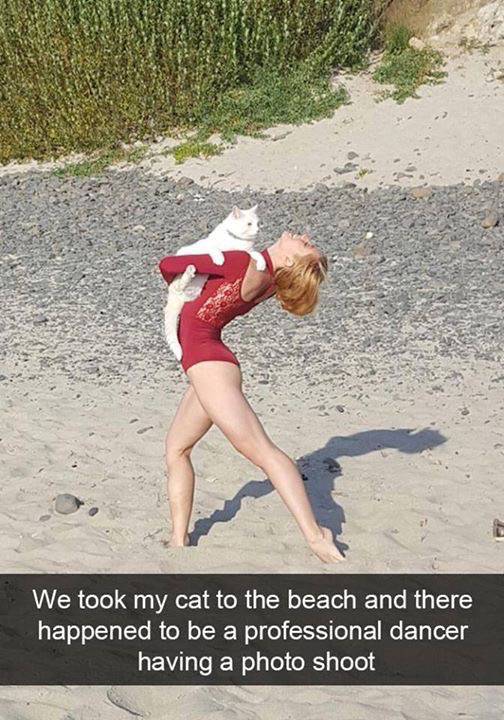 professional dancer and cat - We took my cat to the beach and there happened to be a professional dancer having a photo shoot