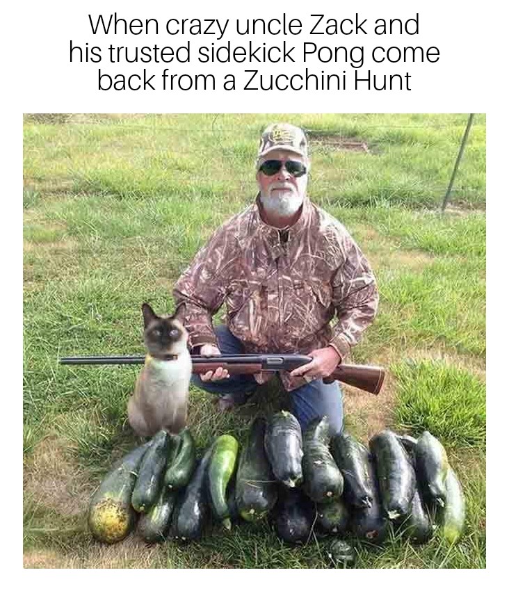 opening day of zucchini season - When crazy uncle Zack and his trusted sidekick Pong come back from a Zucchini Hunt