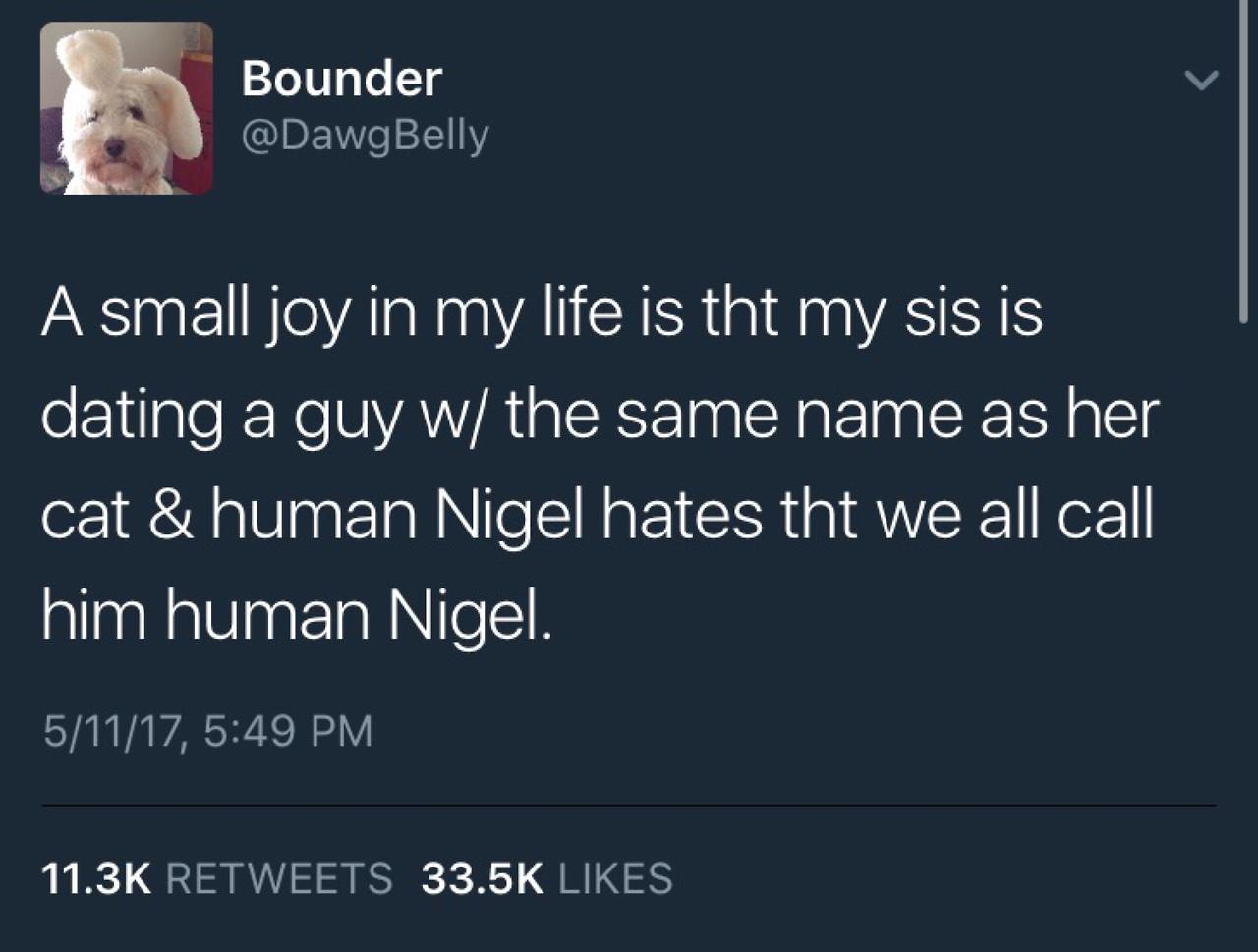 Tweet of some who has a sister dating a guy with the same name as the cat, Nigel.