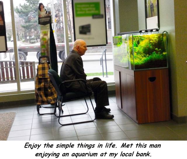Man enjoying an aquarium while waiting at a local bank.