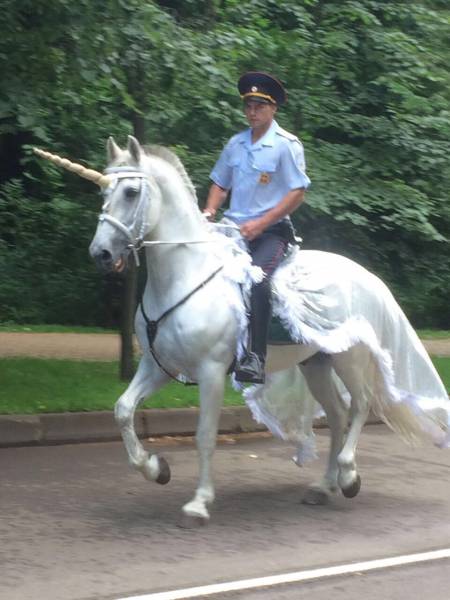 Policeman on a horse that is a unicorn