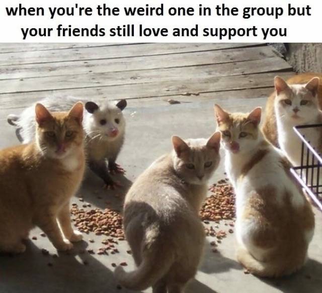 you re the weird one - when you're the weird one in the group but your friends still love and support you