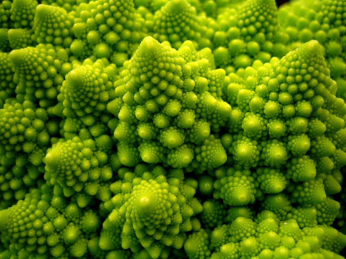 Cauliflower up close