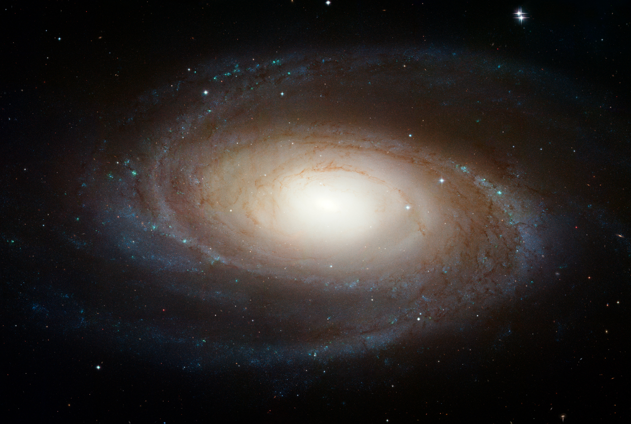 Grand Design Spiral Galaxy M81.