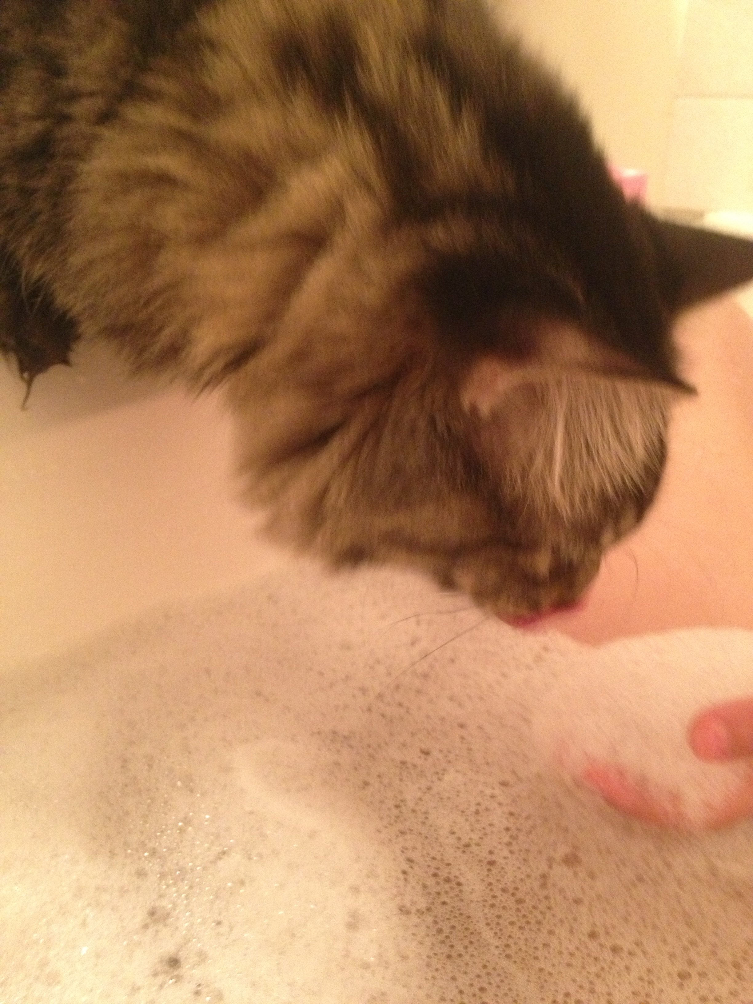 loves intruding on my bath time.