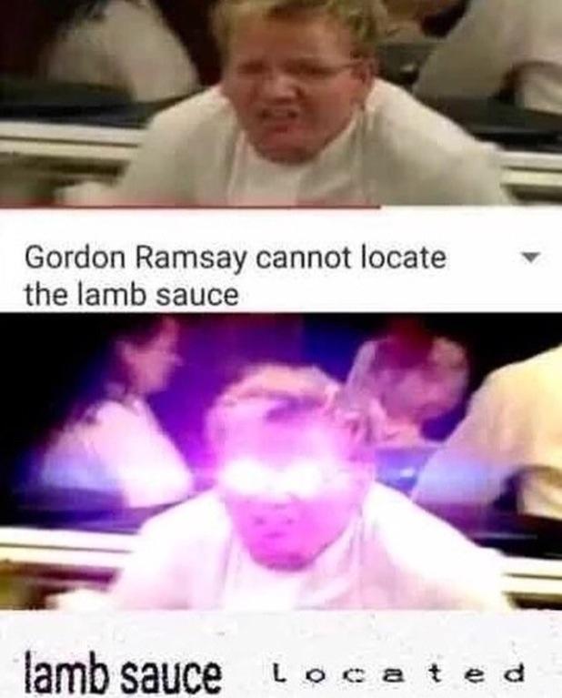 memes - gordon ramsay lamb sauce meme - Gordon Ramsay cannot locate the lamb sauce lamb sauce located