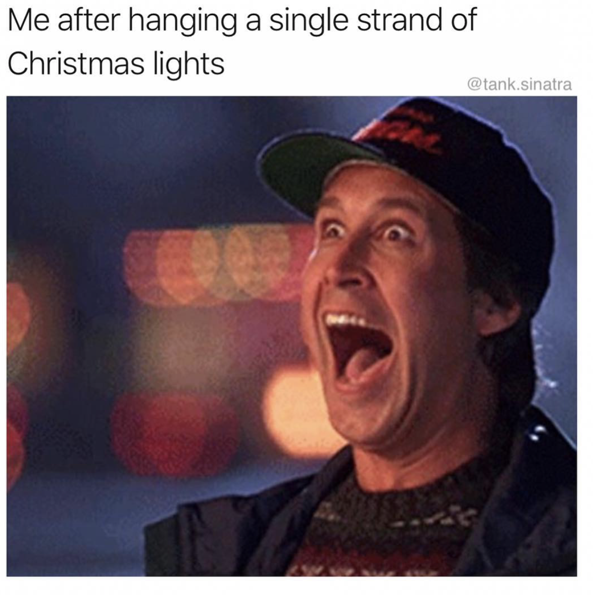 memes - clark griswold christmas vacation - Me after hanging a single strand of Christmas lights .sinatra