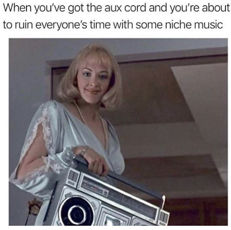 memes - photo caption - When you've got the aux cord and you're about to ruin everyone's time with some niche music