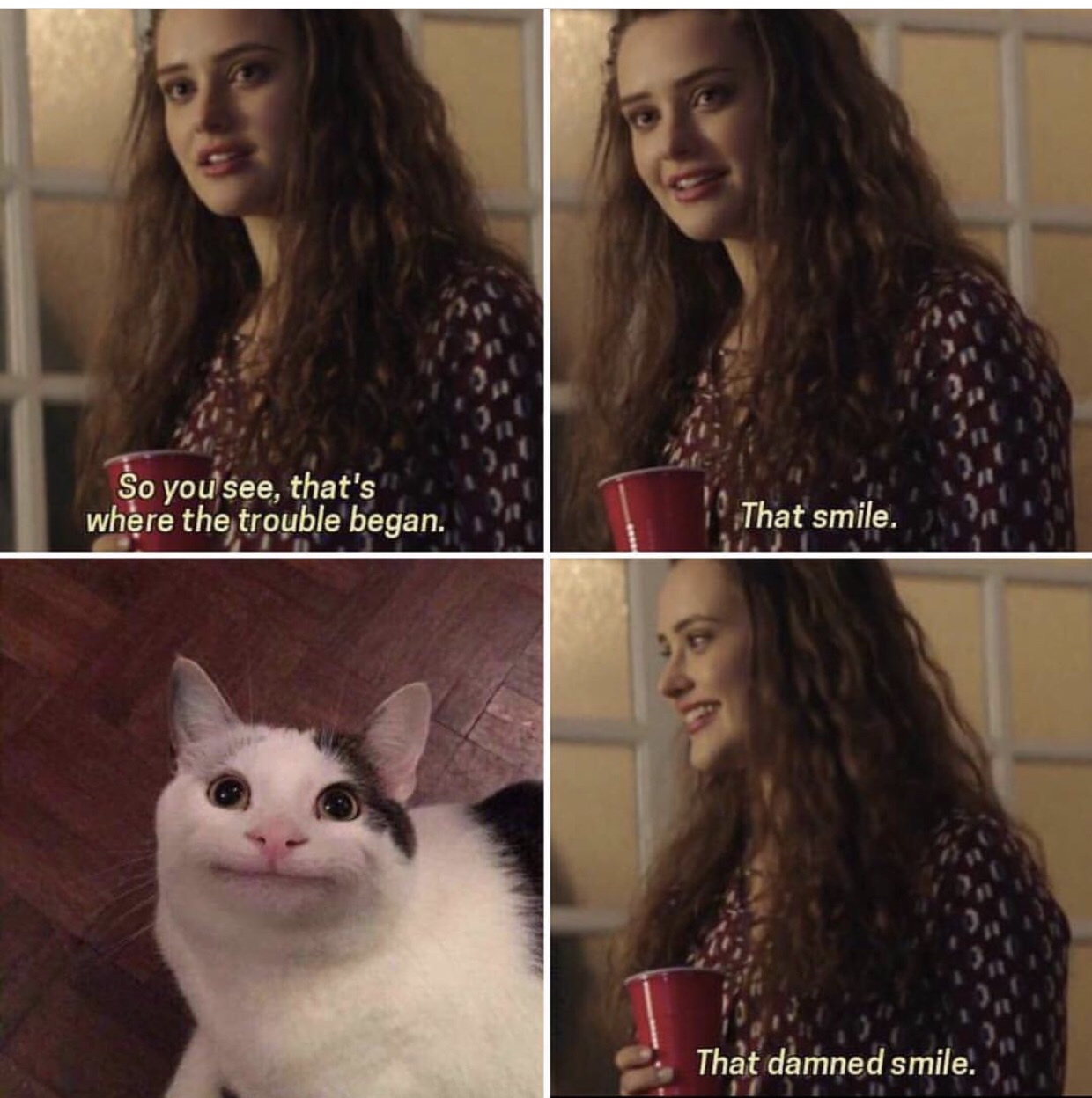memes - smile that damn smile cat - So you see, that's where the troub...