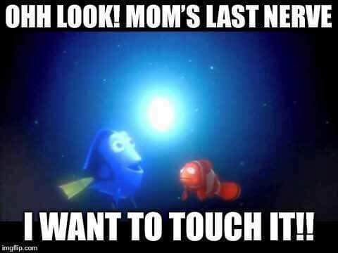 finding nemo meme moms last nerve - Ohh Look! Mom'S Last Nerve I Want To Touch It!! imgflip.com