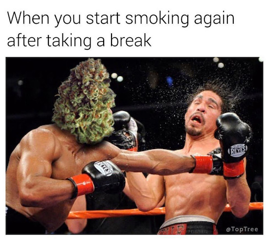 boxing punches - When you start smoking again after taking a break