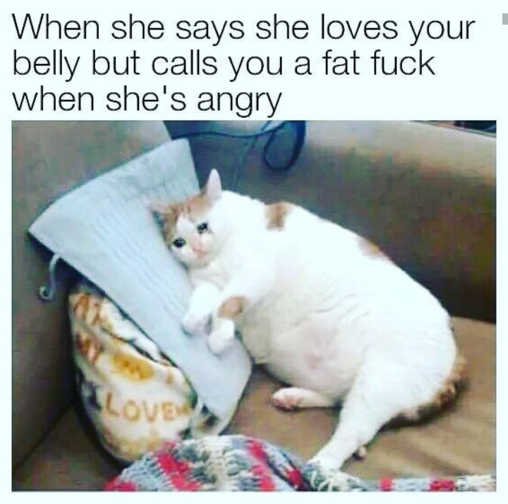 crying cat meme - When she says she loves your belly but calls you a fat fuck when she's angry