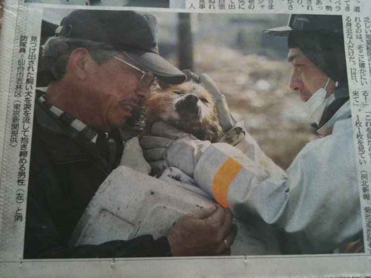 dog is reunited with his owner following the tsunami in Japan in 2011.