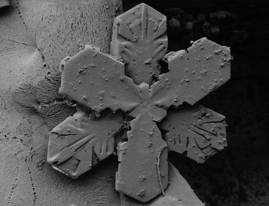 SNOWFLAKES UNDER A FROZEN MICROSCOPE!!!!