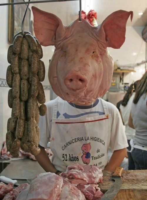 Perfect-Time-Pictures!!