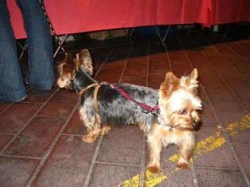 Perfect-Time-Pictures!!