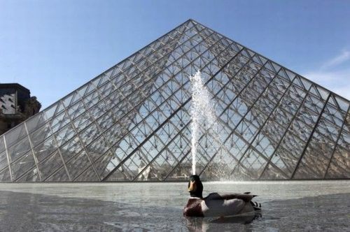 Perfect-Time-Pictures!!