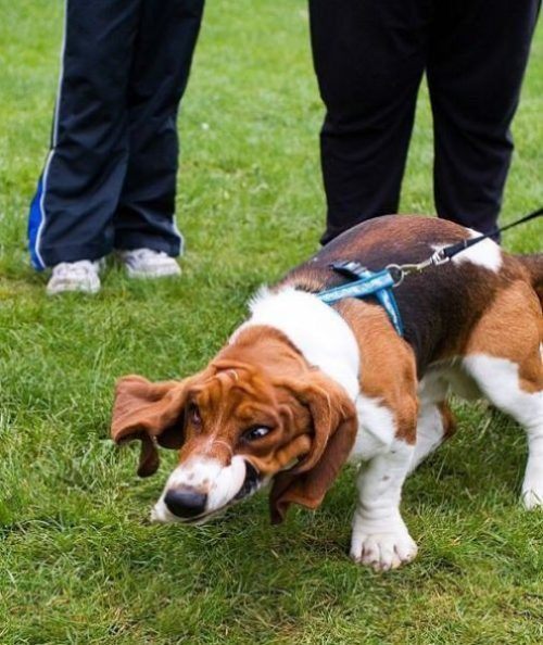 Perfect-Time-Pictures!!