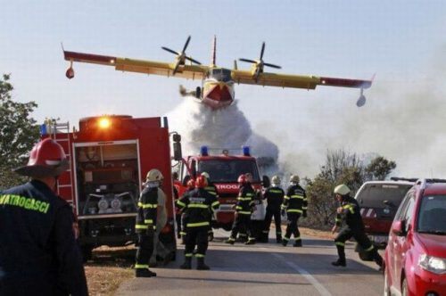 Perfect-Time-Pictures!!