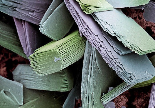 microscopic images of everyday objects