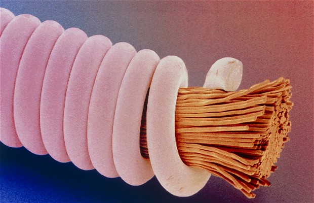 microscopic guitar string