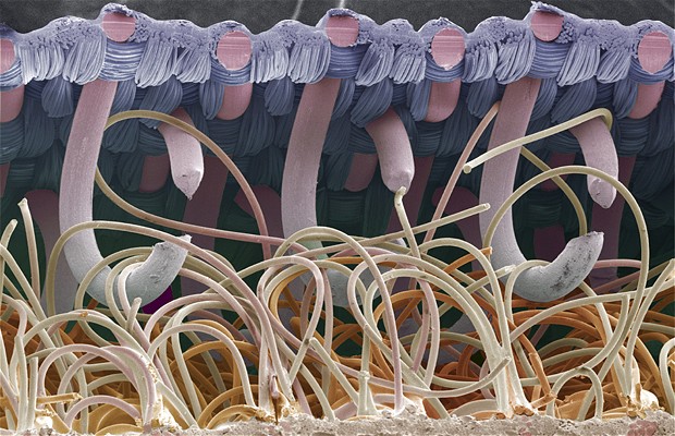 velcro under microscope