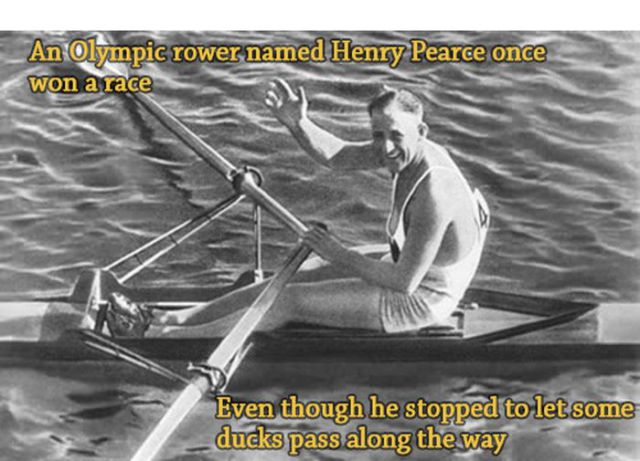 An Olympic rower named Henry Pearce once won a race Even though he stopped to let some ducks pass along the way