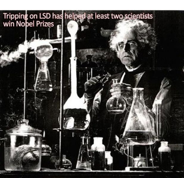 mad scientist - Tripping on Lsd has helped at least two scientists win Nobel Prizes