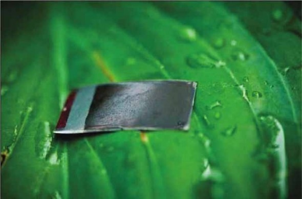 Artificial Leaves Generate Electricity