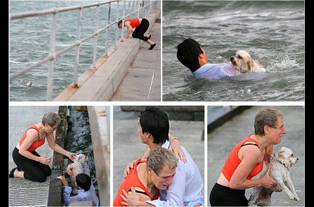 Young passerby rescuing stranger's Shih Tzu who was hurled into the rough water by strong wind