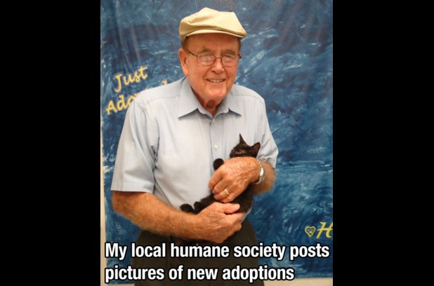 Pet adoptions
