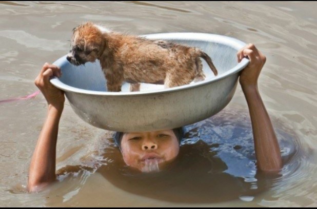 A young boy puts himself in danger to keep his dog safe during a flood...