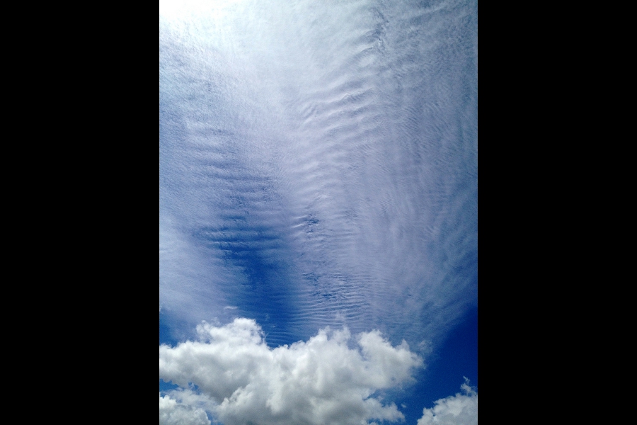 47 Cirrocumulus cloud,