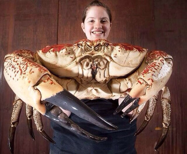 Big Ass Crab