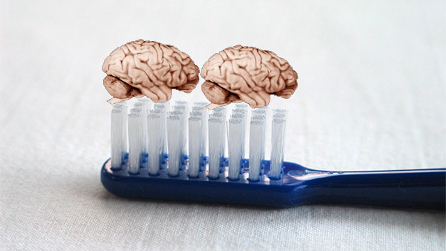 The Romans used crushed mouse brains as toothpaste