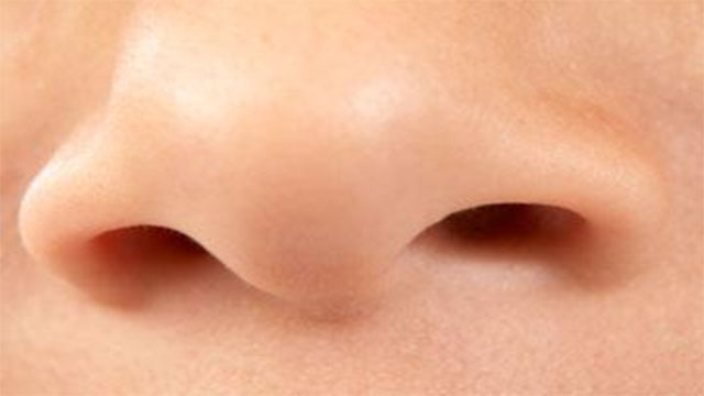 If you smell something, molecules from that object are sticking to the inside of your nose