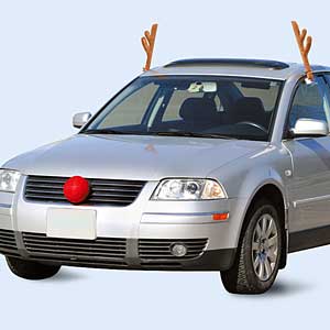 No.20 Reindeer Cars