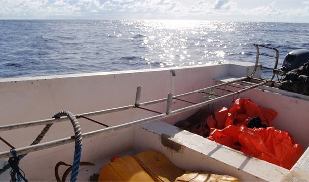 14 Pirates generally access the ships via ladders that they bring with them.