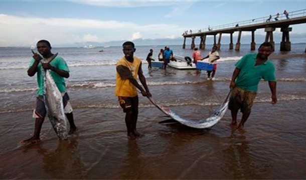 20 Another interesting side effect is that formerly impoverished Somali and Kenyan fisherman are now able to make a living as fish populations return to normal after the departure of foreign fishing vessels