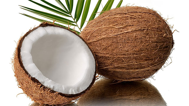 The song Coconut has only one chord in the entire song. It is the only song without any chord changes to reach the Billboard Hot 100 chart. It reached 8 in 1972.