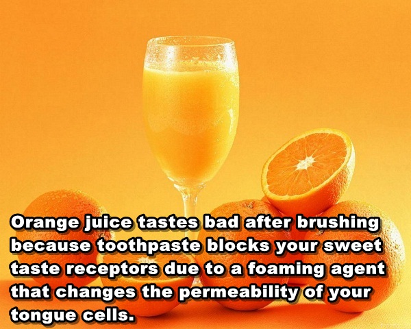 Why orange juice tastes weird after brushing teeth.