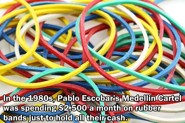 Staggering amount of rubberbands that Pablo Escobar's Medellin cartel had to use just to keep the cash together