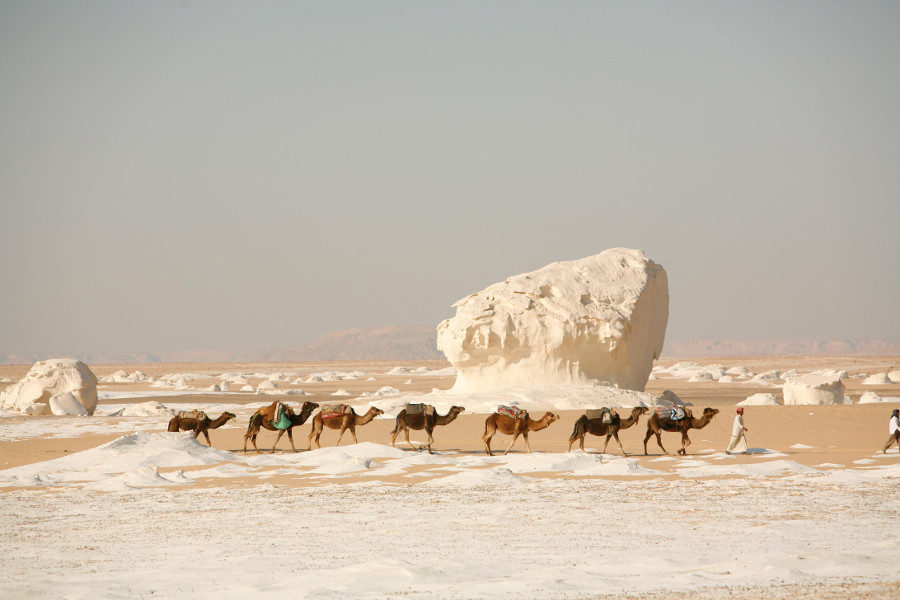 white desert of farafra