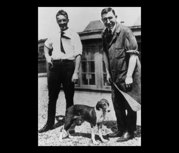 Insulin - Toronto scientists Frederick Banting, Charles Best pictured, and James Collip didn't actually invent insulin in 1922  it's a hormone naturally produced by the pancreas. Instead, they discovered it and learned how it could treat diabetes
