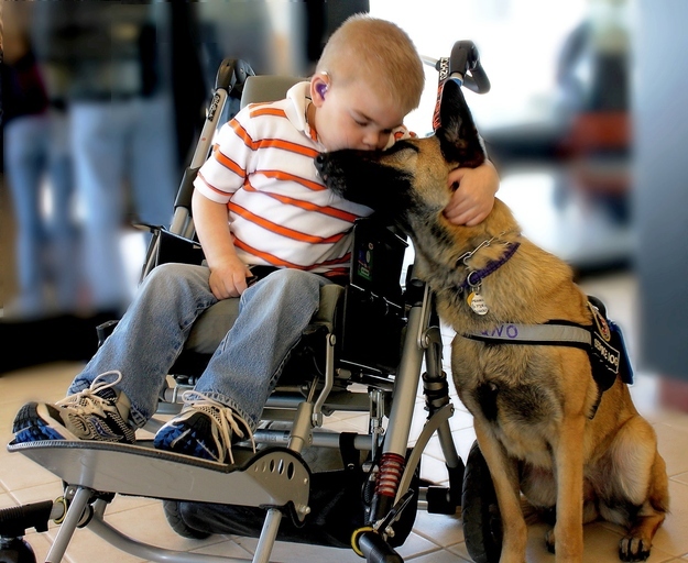 When Lucas Hembree and his service dog Juno shared a hug