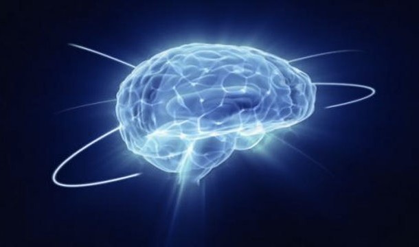 high brain activity